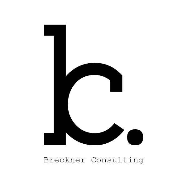 Breckner Consulting Logo & Visitenkarten 1 Breckner Consulting Logo